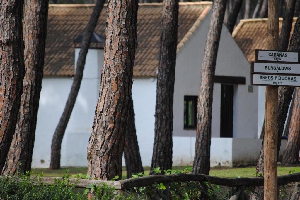 Hotel Camping Dehesa Nueva Aznalcázar Zewnętrze zdjęcie