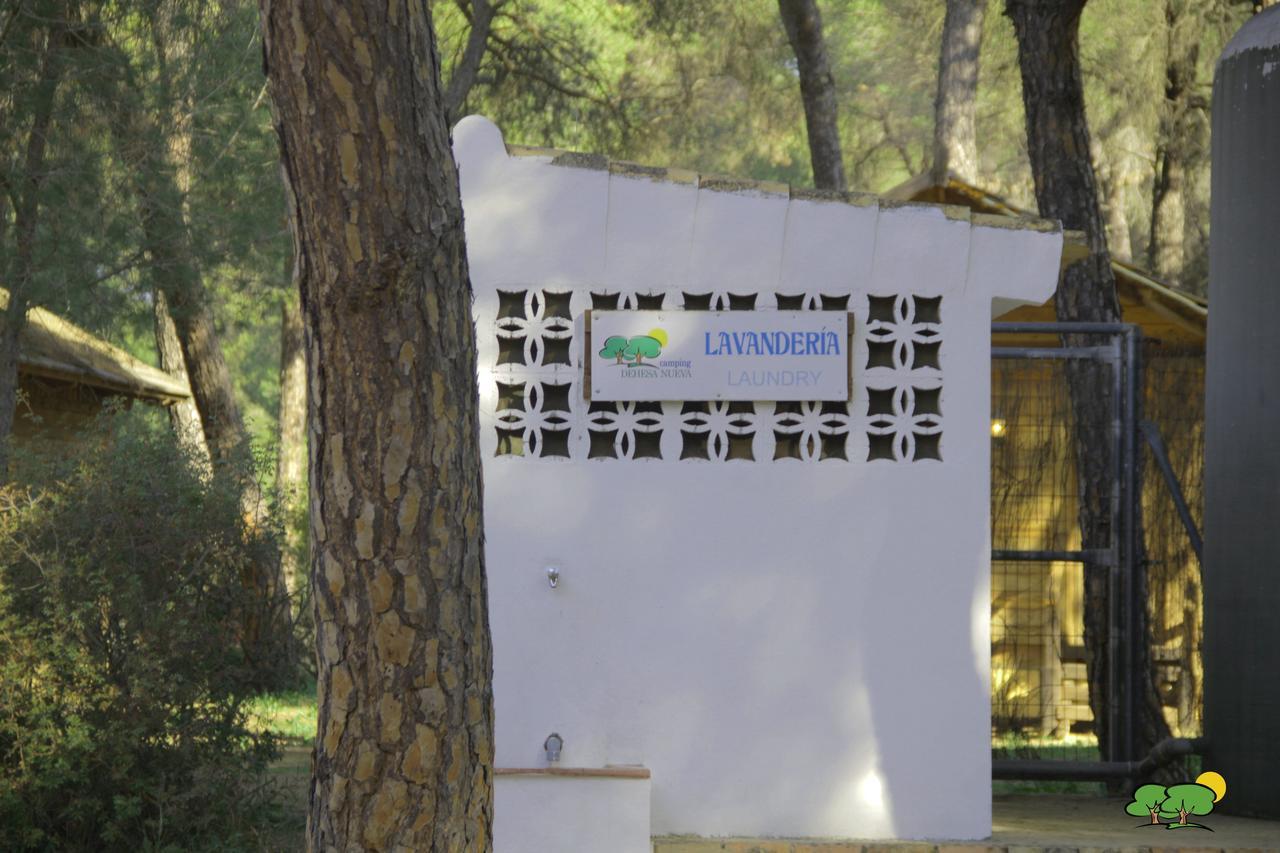Hotel Camping Dehesa Nueva Aznalcázar Zewnętrze zdjęcie
